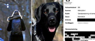 Nya uppgifter: assistanshunden Essie slagen och illa behandlad 