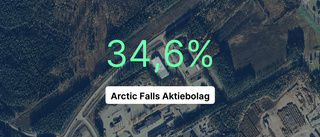 Intäkterna för Arctic Falls Aktiebolag nådde magisk gräns under senaste året