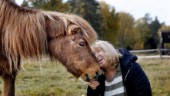 Hervig i Hällberga är Sveriges äldsta häst – ägaren Maria om kärleken till följeslagaren: "Hon är väldigt speciell"