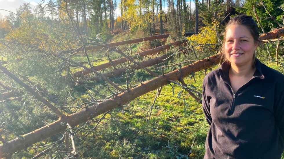 Ovädret ställde till med stora skador på ett litet område i skogen hos Linda Ogebrink och hennes man som har en gård strax utanför Vimmerby. Åtta-tio träd har fallit ut på åkern och längre upp på hygget ligger ytterligare kanske 30 omkullblåsta träd, berättar hon.