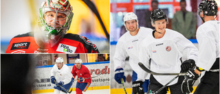 NHL-proffsen visade upp sig i Piteå: "Klart att man tackar ja"