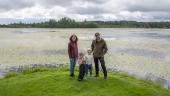 Björkesjön värst drabbad av sjögull – i hela landet