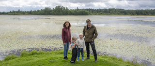 Björkesjön värst drabbad av sjögull – i hela landet