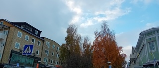 Dagens läsarbild: Uddmansgatan en oktoberdag