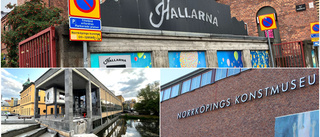 Sörmländska konstvänner oroas över kulturens framtid i Norrköping