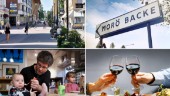 Skellefteå population record: but where are newcomers moving to?