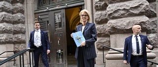 Budgeten saknar tilltro till Sverige och välfärden