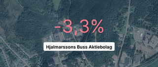 Så gick det för Hjalmarssons Buss Aktiebolag senaste året