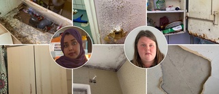 Iskyla, mögel och vattenskador i lägenheterna frustrerar boende
