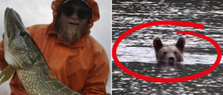 "Hey buddy, got room for one more?" — bear crashes fishing trip