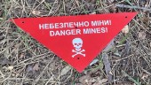 Ukraina behöver mer hjälp i kampen mot minor