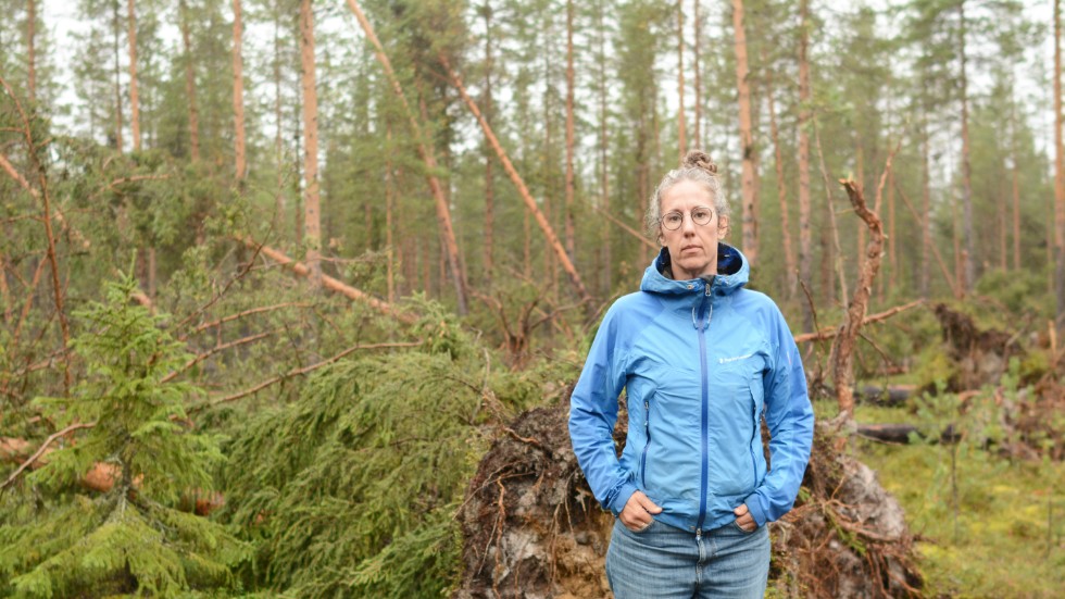 ”Klimatförändringarna kommer att stå oss dyrt om vi inte tänker till nu”, skriver Emma Lindqvist (MP), som besökt den stormfällda skogen.