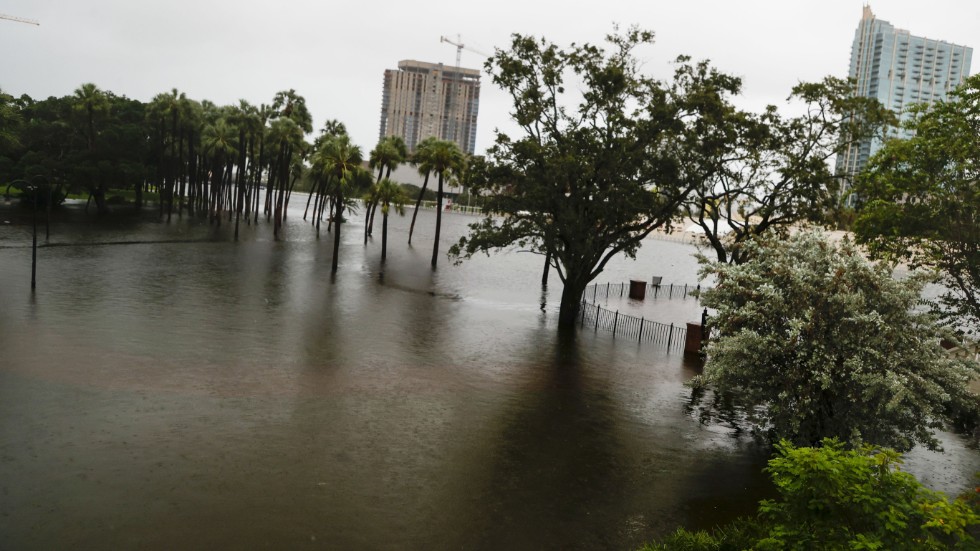 Vattennivån från floden Hillsborough River i Tampa steg kraftig när Idalia drog fram.