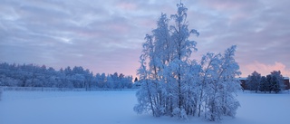 Läsarbilden: Ett farväl till värsta kylan