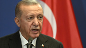 Turkiets president godkänner Natoansökan
