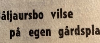 Ur PT:s arkiv: Hittade inte vägen tillbaka från vedboden