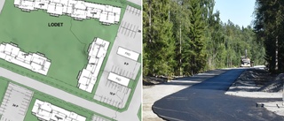 Nya gatan i Skelleftehamn: Ovisst om någon ska bygga i skogen