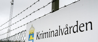 Utredare: Sverige bör införa ungdomsfängelser