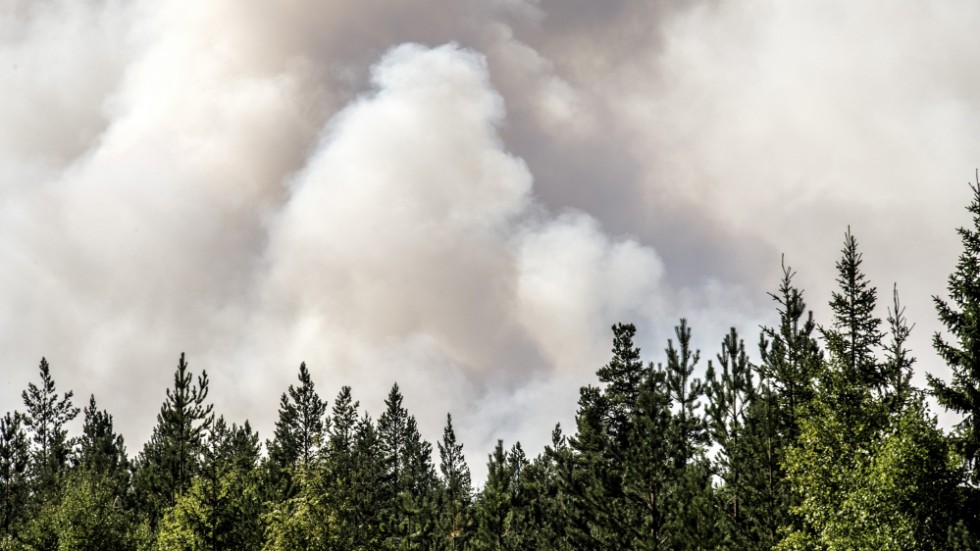 På sikt behöver vi som äger och brukar Sveriges skogar sköta den så att brandrisken minskar, skriver bland andra Birgitta Löthman, regionchef Skogssällskapet i Västerbotten.