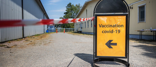 Bodens kommun anställer vaccininformatörer
