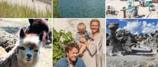 UTFLYKTSGUIDE: 10 fantastiska besöksmål på Gotland i sommar