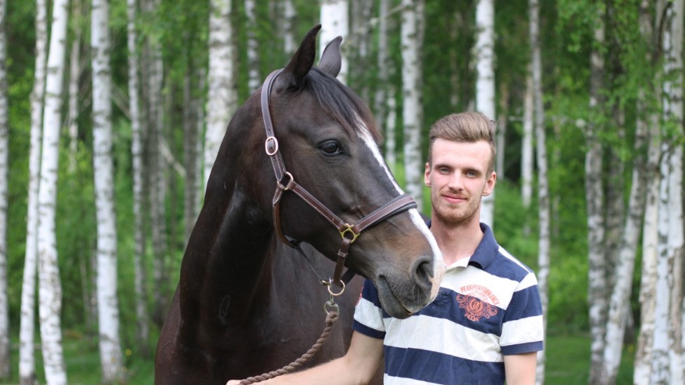 Daniel Siverholm lyckades inte ta sig vidare på Jönköping Horse Show.