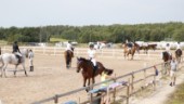 Dags för Westerviks Horse Show – över 450 hästar på plats