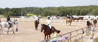 Dags för Westerviks Horse Show – över 450 hästar på plats