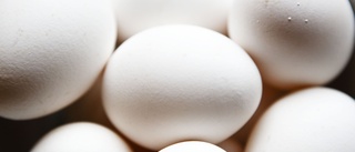 Ägg återkallas efter salmonellalarm