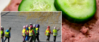 Förskolebarn i Eskilstuna åt leverpastej med cancerframkallande ämne – återkallades för sent
