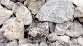 Vill få plocka fossiler på Sudret – och sälja som ”häxstenar”