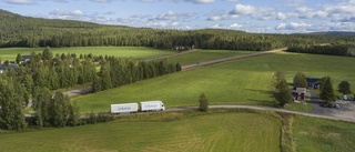 Ökad samdistribution av mat via Norrmejerier: "Norrlänningar får färska livsmedel"