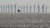 Havsbaserad vindkraft kan få stor betydelse – elbehovet ökar med produktion av grön vätgas