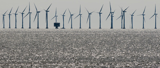 Finland planerar för vindkraftpark i Bottenviken