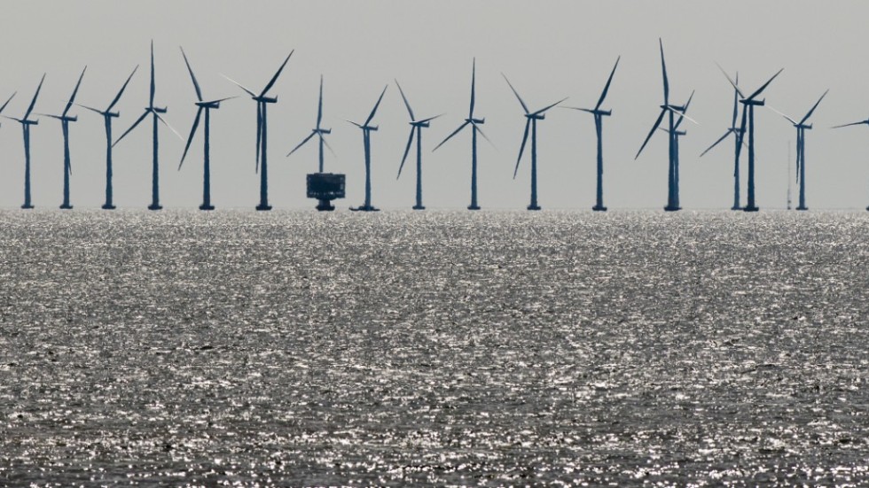 Havsbaserad vindkraft lägger plats i sådana mängder att ekosystemet i t ex Östersjön riskeras; hävdar dagens debattör. 