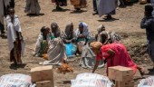 Etiopien: Eritreanska trupper dödade civila