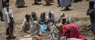Etiopien: Eritreanska trupper dödade civila
