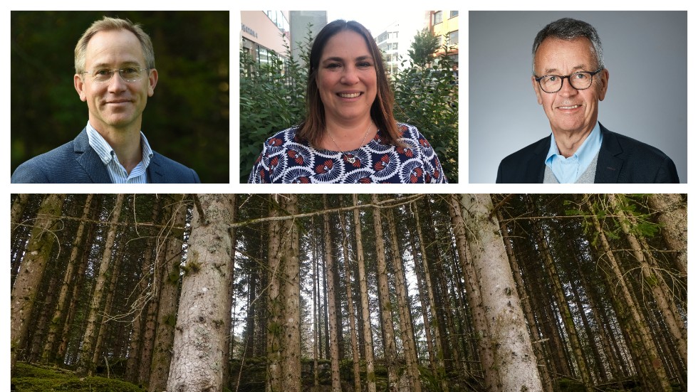 Skribenterna från Skogssällskapet: Calle Nordqvist, Karin Fällman Lillqvist och P-O Wedin, efterlyser ett tydligt tillväxtmål för skogen samtidigt som de svenska miljömålen behöver ses över. 