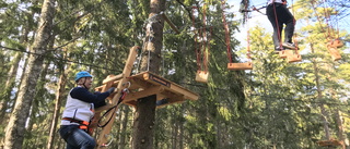 Ny turistattraktion har öppnat i Oxelösund – högt uppe bland trädtopparna