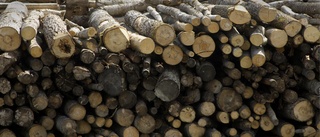 Skogsindustrins gamla avfall – dold klimatbomb