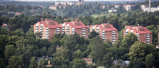 Stockholm bättre på gröna stråk