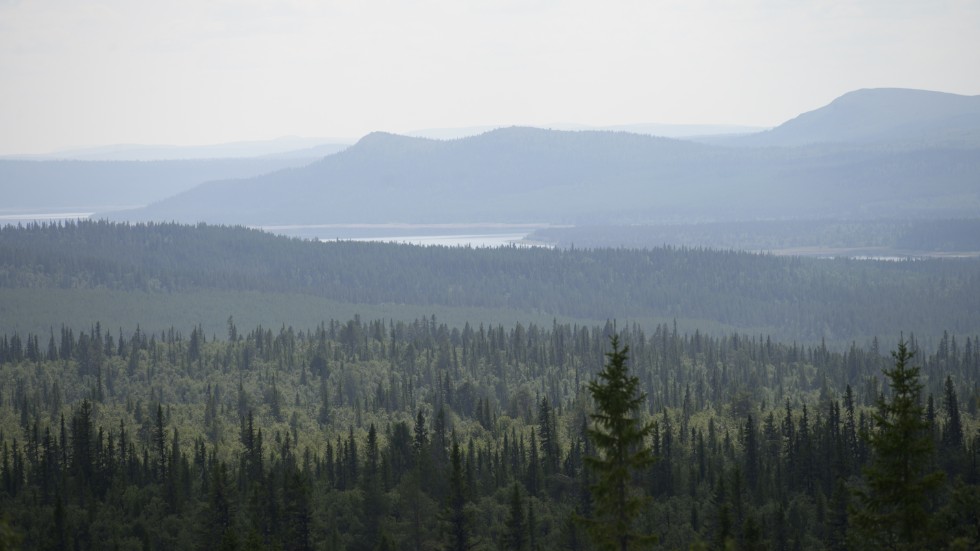 "Lagstiftaren behöver även agera mot Sveaskogs möjlighet att köpa upp enskilt privatägda skogar för att kompensera för den mark som bolaget avyttrar genom bland annat markförsäljningsprogrammet. Detta är särskilt viktigt med tanke på hur mycket fjällnära skog som nu byter ägare."
