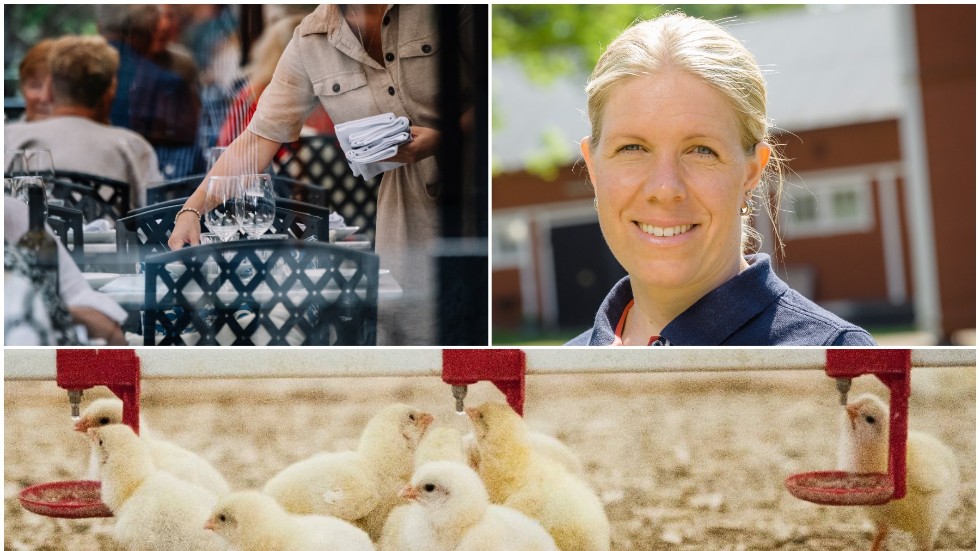 Vi bönder är glada för att allt fler svenskar under pandemin har valt att köpa svenskt. Tyvärr är det sämre när vi äter utanför hemmet, på restauranger och caféer, skriver Svensk Fågels ordförande Jenny Andersson tillsammans med flera andra kycklingbönder.