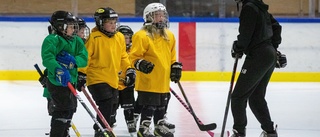 Premiär och testhelg för tjejhockeyn       