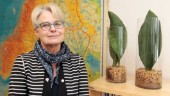"Älvsbyn på väg i rätt riktning"