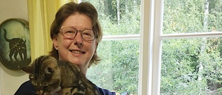 Hon engagerar sig för hemlösa katter • Vill se insatser av kommunen