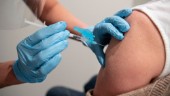 65-åringarna i Enköping uppmanas att vaccinera sig mot säsongsinfluensa 