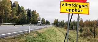 Polisen varnar för viltolyckor