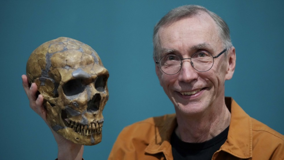 Vår nye Nobelpristagare i medicin. Svante Pääbo tillsammans med en neandertalarskalle. 