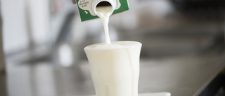 Arla höjer mjölkpriset – för åttonde gången i år